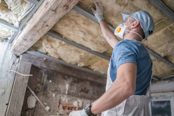Best Insulation for Specific Applications in Des Moines, WA
